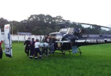 Equipes de resgate são acionadas para socorrer vítimas de ataque de abelhas em Araranguá, SC