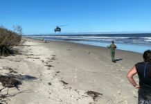 Barco vira no Litoral Paranaense e menina de 6 anos, única que sabia nadar, ajuda a salvar tripulação