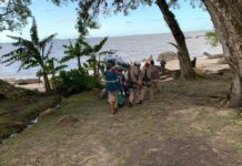 Bombeiros, BPMOA e SAMU resgatam homem que se feriu quando cortava árvore em Ponta do Ubá, Paranaguá