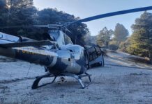 Equipes de resgate são acionadas para socorrer vítima de atropelamento em Bocaiuva do sul, PR