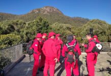 Treinamento integrado de busca e salvamento no Paraná comprova eficiência de novas tecnologias