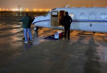 Brasil Vida Táxi Aéreo transporta equipe médica de captação e órgãos doados