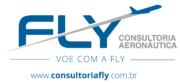 Fly Consultoria