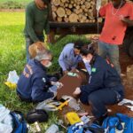 Vítima de atropelamento é resgatada pelo aeromédico do SAMU em área rural de Nova Londrina