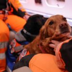 Equipe da Operadora de Resgate Aéreo da Suíça – REGA – enviada para a Turquia.