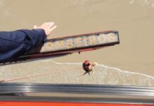 Bombeiros resgatam surfista na praia da Joaquina, em Florianópolis