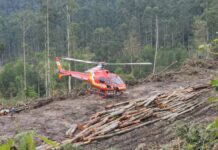 Equipes de resgate socorrem trabalhador após ser atingido por árvore em Presidente Getúlio, SC