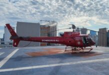 Equipe aeromédica do CBMERJ transporta Mingau para o Hospital São Luiz, em São Paulo