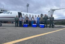 Setembro Verde: Minas Gerais capta coração, pâncreas e fígado para transplante