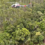 Helicóptero desaparecido foi encontrado em zona de mata fechada (Crédito: Divulgação/ PMESP)