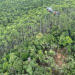 Helicóptero desaparecido foi encontrado em zona de mata fechada (Crédito: Divulgação/ PMESP)