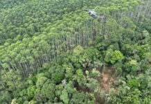 PM localiza destroços da aeronave desaparecida em área de mata fechada no município de Paraibuna Helicóptero desaparecido foi encontrado em zona de mata fechada (Crédito: Divulgação/ PMESP)