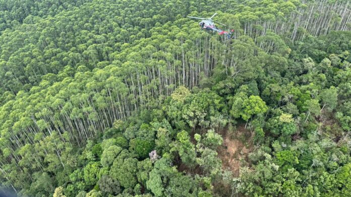 Helicóptero desaparecido foi encontrado em zona de mata fechada (Crédito: Divulgação/ PMESP)