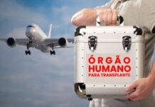 Empresas aéreas transportaram gratuitamente 5,8 mil itens para transplantes em 2023