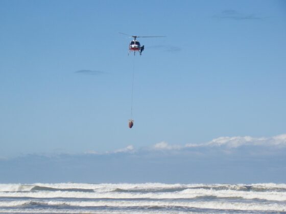 25 de julho - Dia da campanha mundial de preven&ccedil;&atilde;o de afogamentos