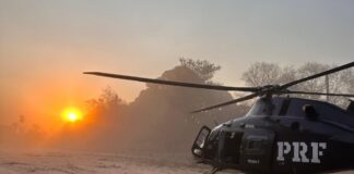 PRF e Corpo de Bombeiros realizam dois atendimentos aeromédicos no Pantanal, MS PRF e Corpo de Bombeiros realizam dois atendimentos aeromédicos no Pantanal.