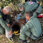 GTA e SAMU salvam homem que passou mal durante trilha em São Domingos