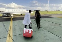 Avião particular faz voo gratuito para transportar pulmão em apoio ao programa TransplantAR Aviação Solidária