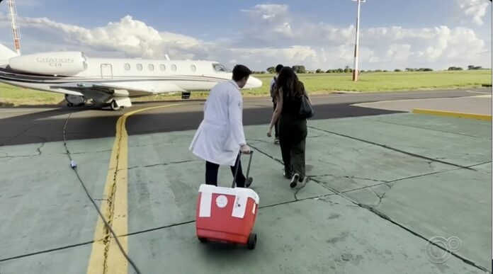 Avião particular ajuda no transporte de órgão com incentivo do programa TransplanAR Aviação Solidária em SP. Foto: Divulgação