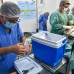 b16b4172-d9b6-41f0-9641-24274fb10465