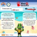 VOO + SVOE SEGURO sobre a água