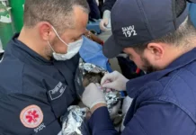 Profissionais do SAMU realizam parto de emergência em moradora de comunidade ribeirinha do Pará Profissionais do SAMU e GTA realizam parto de emergência em área de difícil acesso no Pará