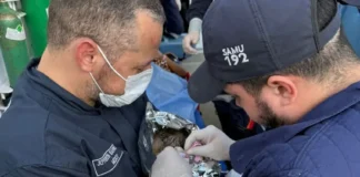 Profissionais do SAMU realizam parto de emergência em moradora de comunidade ribeirinha do Pará Profissionais do SAMU e GTA realizam parto de emergência em área de difícil acesso no Pará